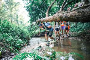 BIB: 
                            <button type="button" onclick="openModal(25458428)" class="btn btn-primary btn-sm float-right btn-popup" data-toggle="modal" data-target=".modal-high-quality">
                        <i class="fas fa-shopping-cart"></i> Add to Cart
                    </button>
                                            <button type="button" onclick="isThisMe(25458428, true)" class="btn btn-success btn-sm float-right btn-popup btn-isme hidden" data-toggle="tooltip" data-placement="bottom" title="นี่คือรูปของคุณใช่ไหม คลิกที่นี่เพื่อเอาเข้าอัลบั้ม">
                        <i class="fas fa-plus"></i> Add to album
                    </button>
                    <button type="button" onclick="isThisMe(25458428, false)" class="btn btn-warning btn-sm float-right btn-popup btn-isnotme hidden">
                        <i class="fas fa-ban"></i> Remove from album
                    </button>